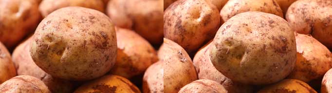 35mmvs2/3" Potaos compare